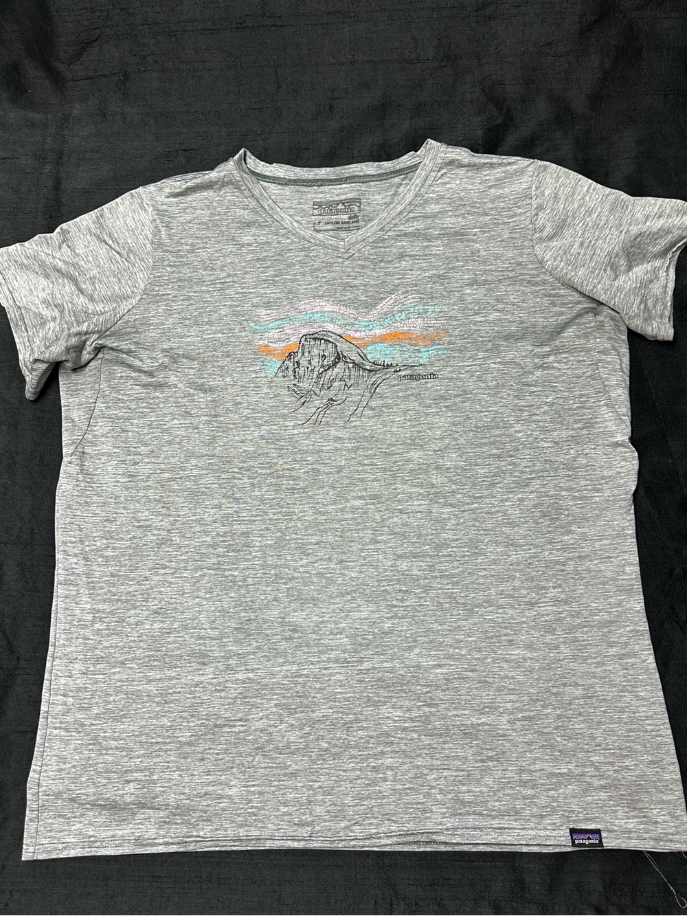 Patagonia Women’s Size Lg Gray V‑Neck Tee with Mountain Graphic